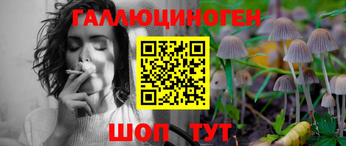 Лесосибирск  Псилоцибиновые грибы ЛСД  Вход с VPN 